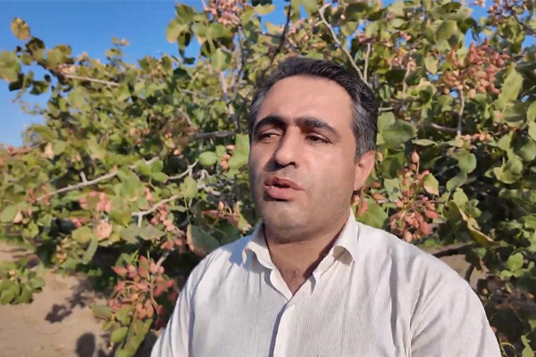افزایش ۵۰ درصدی مشارکت باغداران و کشاورزان جلفا در طرح شجره طیبه