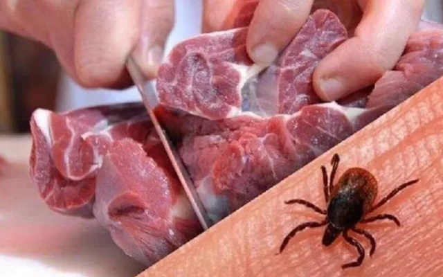 ۱۱ مبتلا تب کریمه در یزد؛ «گوشت را ۲۴ ساعت در یخچال نگه دارید»