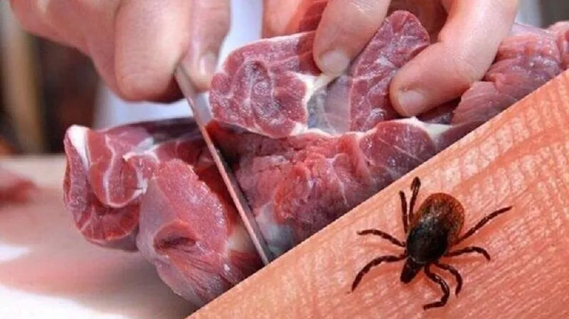 ۱۱ مبتلا تب کریمه در یزد؛ «گوشت را ۲۴ ساعت در یخچال نگه دارید»