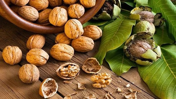 پیشبینی تولید ۱۴۰۰ تن گردو در گلستان