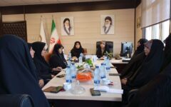 پیگیری مشکلات مادران خانه دار با تشکیل کمیته ویژه در استان
