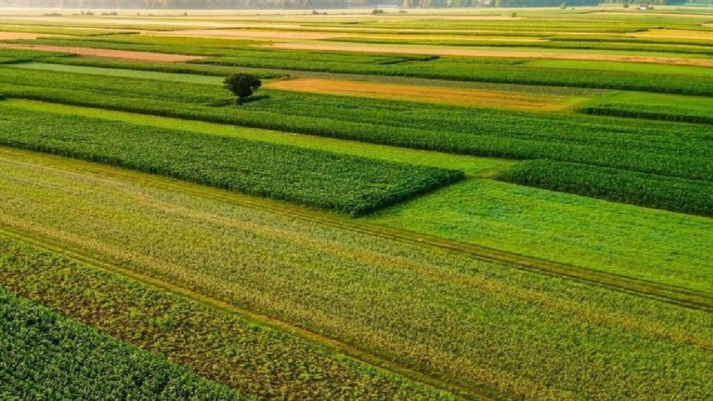 رفع تداخل ۹۵ درصدی زمین های کشاورزی در لرستان