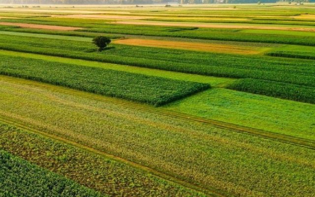 رفع تداخل ۹۵ درصدی زمین های کشاورزی در لرستان