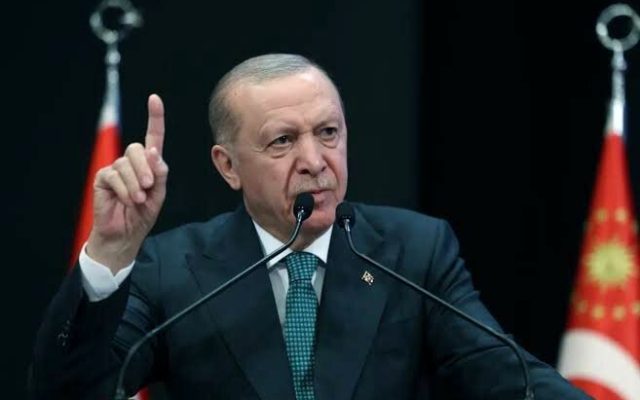 خیز اردوغان برای یک دوره دیگر ریاست جمهوری/ او در صورتی که پارلمان رای به انتخابات زودهنگام دهد مجاز به کاندیداتوری است