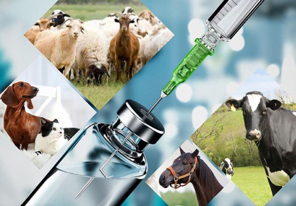 نظارت مسئول فنی بر آزمایشهای دامپزشکی الزامی است