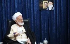 آیت‌الله دری: خدمت به زائران اربعین جلوه‌ای از عشق به اهل‌بیت (ع) است