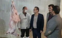 دادستان بروجرد از کشتارگاه دام شهرستان بازدید کرد