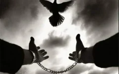 🕊️بخشش بزرگ مرد طلبکار برای آزادی خیاط زندانی
