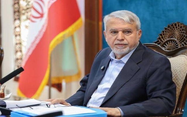 از خاطیان و مسبب تخریب «سرای تومانیان» شکایت کردیم + فیلم