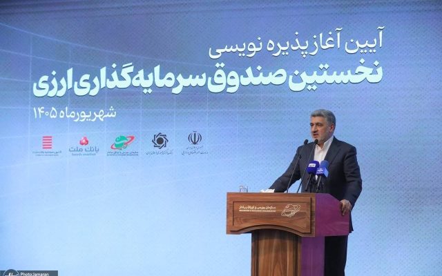 صیدی: صندوق‌های ارزی متعددی طراحی شده است/ حقیقی‌ها بیشترین استقبال را کردند