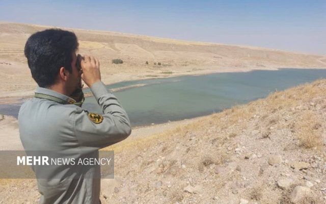 دریکوند: پایش آنفلوآنزای فوق حاد پرندگان در فاروج آغاز شد