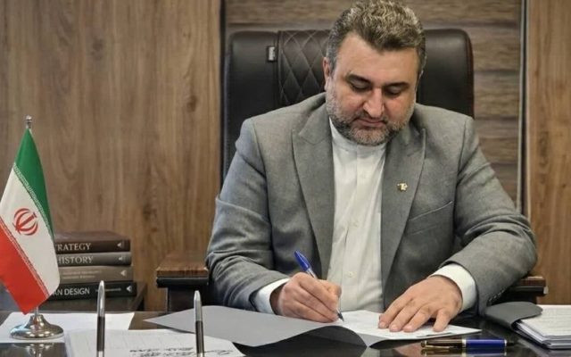 ضربالاجل ۴۸ ساعته برای جمعآوری سگهای بلاصاحب در تنکابن صادر شد / با ترکفعل مدیران قاطعانه برخورد میشود