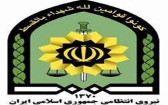 کشف محموله‌های قاچاق و دستگیری تبهکاران در شهرستان‌های فارس