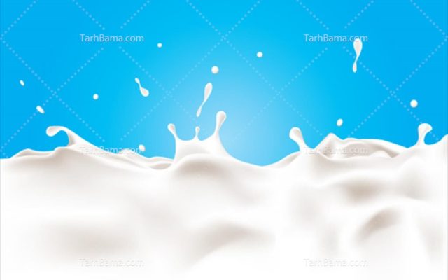 پژوهش عجیبی که جایزه ایگ‌نوبل گرفت/ «شیر سوسک» برای تغذیه انسان مناسب است؟
