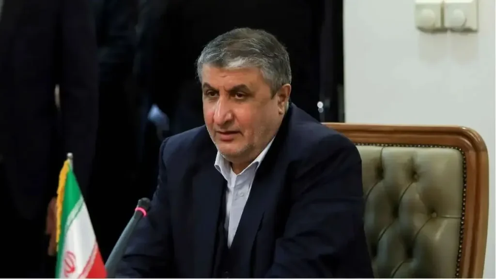بقائی: اقدام اتریش در صادر نکردن روادید برای رئیس سازمان انرژی اتمی ناموجه است