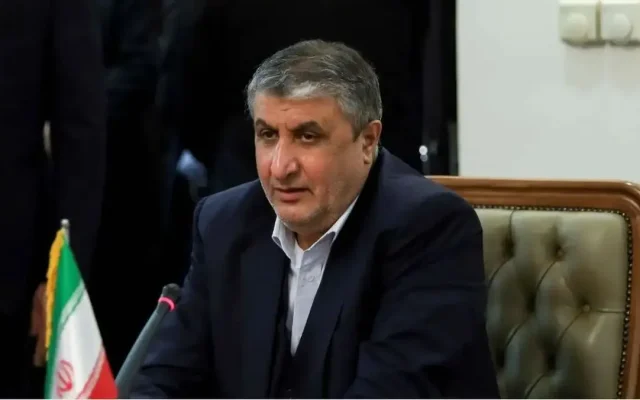 بقائی: اقدام اتریش در صادر نکردن روادید برای رئیس سازمان انرژی اتمی ناموجه است