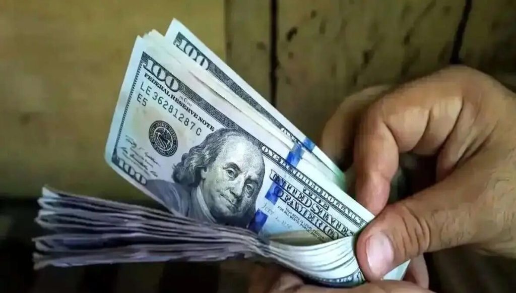 معاون پیشین بانک مرکزی پاسخ داد: چرا قیمت دلار گران شد؟