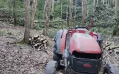 کشف چوب‌آلات غیرمجاز در قائمشهر