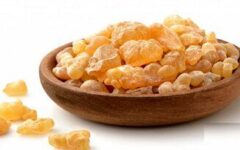 خوردن کندر واقعاً هوش را زیاد می‌کند؟
