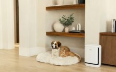 Levoit’s new air purifier is for the pet odors that have taken over your apartment