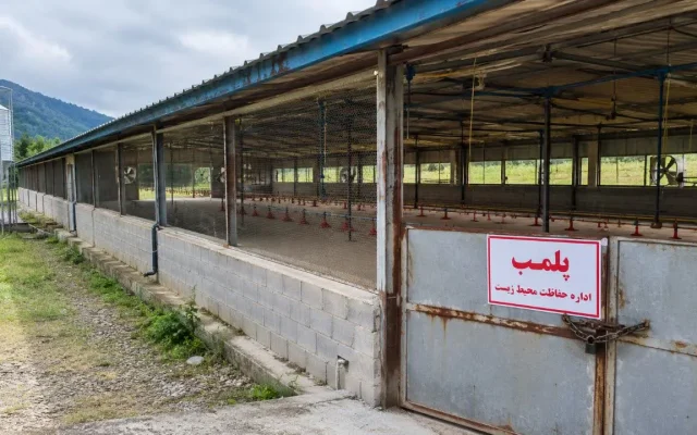 پلمب یک واحد مرغداری متخلف در شهرستان املش