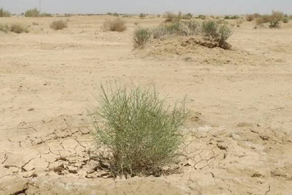 واگذاری بیش از ۱۱ هزار هکتار از کانون‌های ریزگرد خوزستان به قرارگاه کربلا