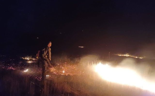 آتش‌سوزی پناهگاه حیات‌وحش بیستون مهار شد