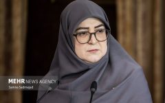 مهاجرانی: آنچه انجام شده تمام توان دولت است