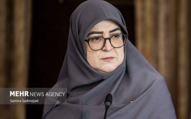 مهاجرانی: آنچه انجام شده تمام توان دولت است