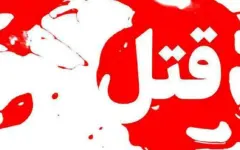 درگیری مرگبار برای سگ‌گردانی در سعادت‌آباد