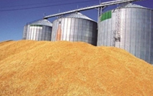 تأمین ذخیره استراتژیک گندم برای ۶ ماه آینده در مازندران