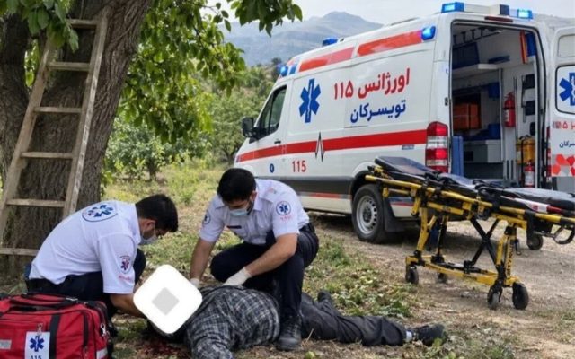 ۹۵ مصدوم و ۲ فوتی در پی سقوط از درخت گردو در همدان
