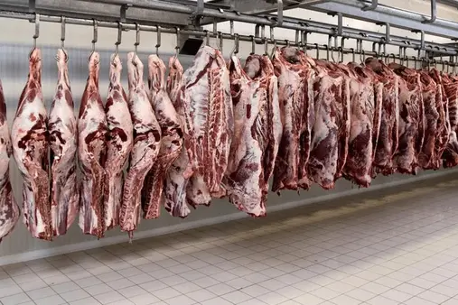 گوشت خارجی در بازار عرضه نمی شود ؟