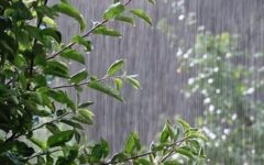 هشدار زرد برای تهران تا دوشنبه، ۶ مهر/ باران، رعدوبرق و باد شدید در راه / احتمال برف در ارتفاعات