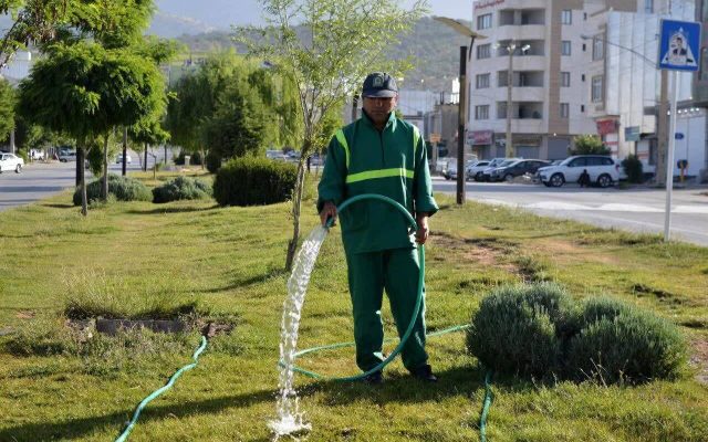 تأکید بر مدیریت هوشمند منابع آب و استفاده از پساب در فضای سبز ایلام