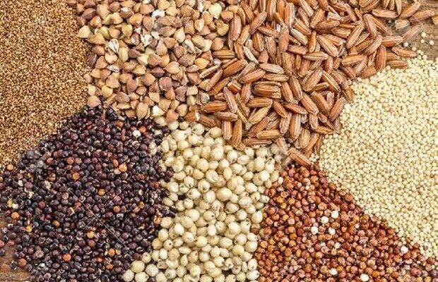 ۱۱ هزار و ۵۱۰ تن بذر برای کشت پاییزه کهگیلویه و بویراحمد تأمین شد