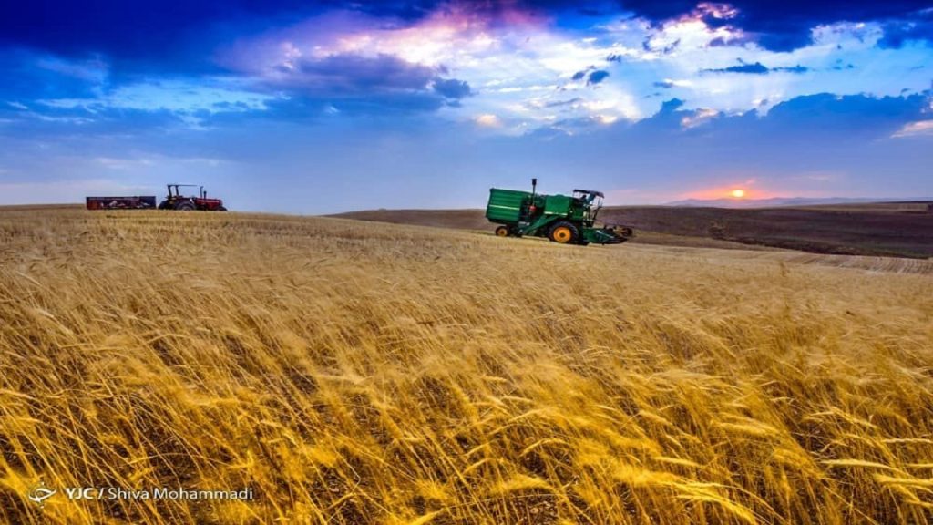 خسارت ۲۷ همتی به زیرساختهای کشاورزی در جنگهای اخیر/۱۳۰ سیلو گندم بمباران شد