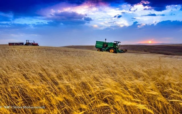خسارت ۲۷ همتی به زیرساخت‌های کشاورزی در جنگ‌های اخیر/۱۳۰ سیلو گندم بمباران شد