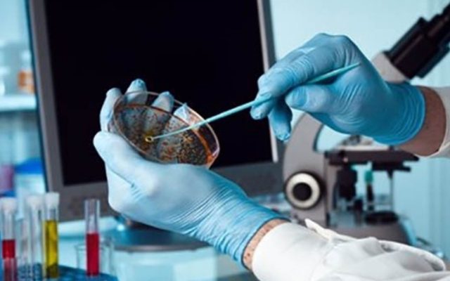 اعطای جایزه سازمان جهانی بهداشت در منطقه مدیترانه شرقی در حوزه سرطان به استاد دانشگاه علوم پزشکی تهران