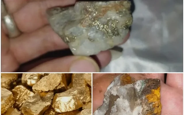 کشف ۲۵۴ کیلوگرم سنگ معدنی طلا در مرند