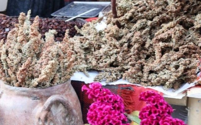 نخستین جشنواره سماق در سروآباد برگزار شد
