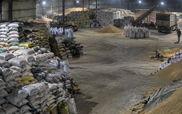 ۶ ماه حبس برای عامل تولید خوراک دام فاسد در جویبار