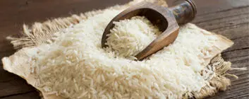 برنج در استان های شمالی کیلویی چند به فروش می رسد؟