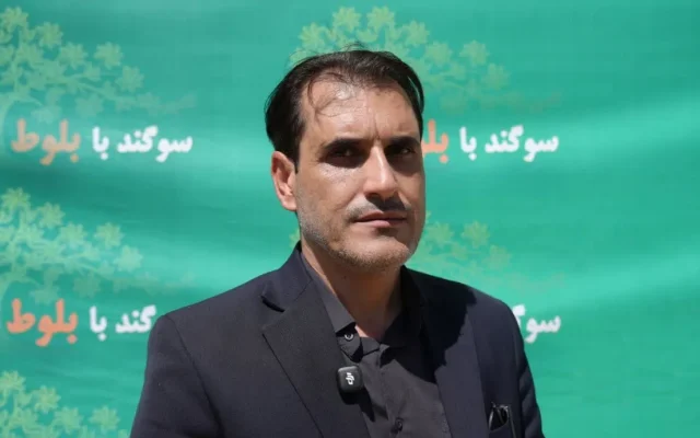 حفاظت از «بلوط»، حفاظت از هویت فرهنگی مردم زاگرس است