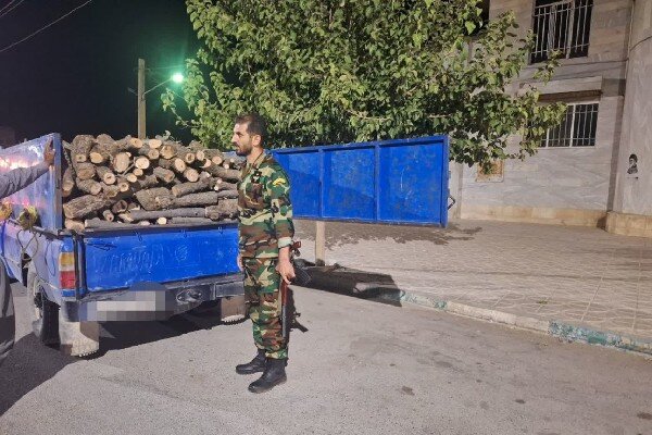 محموله چوب قاچاق بلوط در روانسر توقیف شد