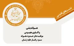 بررسی مفهومی سوءرفتار علیه زنان در مرکز تحقیقات اسلامی مجلس