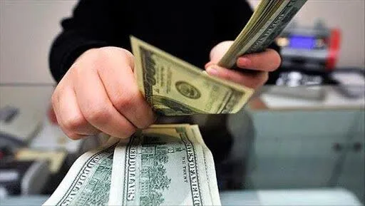 منابع ارزی راکد باید به سمت تولید هدایت شود
