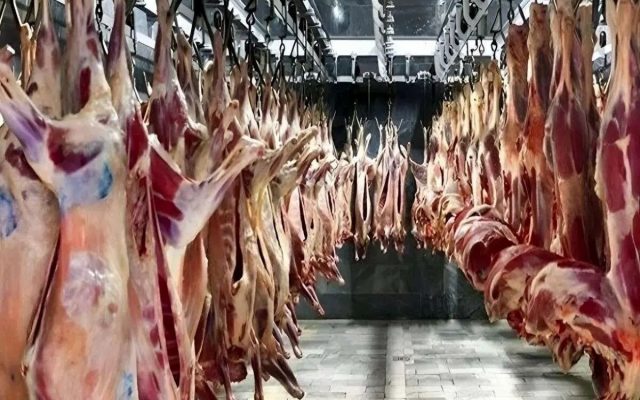 قیمت گوشت قرمز امروز ۲۷ شهریور ۱۴۰۵/ ران گوساله و گوسفندی کیلویی چند شد؟ + جدول