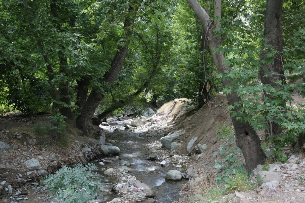 رود درههای تهران شریانهای حیاتی آب و سپر اقلیمی پایتخت هستند
