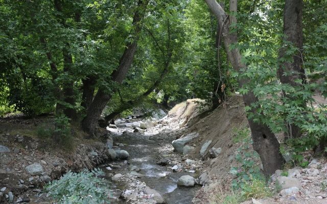 رود دره‌های تهران شریان‌های حیاتی آب و سپر اقلیمی پایتخت هستند